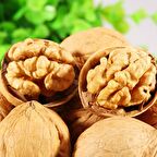 Chandler Ceviz Fidanı 3 Yaş Tüplü ve Aşılı 3 Adet