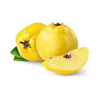 Ege 22 Ayva Fidanı 3 Yaş Tüplü ve Aşılı 2 Adet