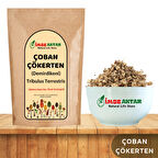 Çoban Çökerten-Demirdikeni 50G