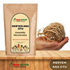 Meryem Ana Eli Otu 50g