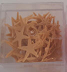 Natürel Minik Deniz yıldızı 100 lü kutu