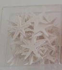 Beyaz  Minik Deniz yıldızı 100 lü kutu