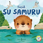 Küçük Su Samuru – Doğanın Eşsiz Hikâyeleri 17