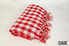 Kırmızı Kareli Piknik Örtüsü & Sofra Bezi