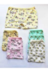 Kota 6'lı Paket Çok Renkli Desenli Kız Çocuk Boxer (KİLOT,KÜLOT) 3400