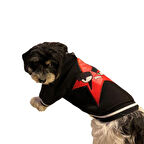 Gedyco Red Star Polarlı Küçük Irk Köpek Kolej Sweatshirtü
