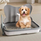 Kapalı Alan Köpek Tuvaleti