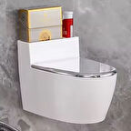 Klozet Görünümlü Küllük