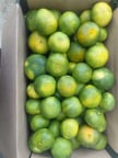 Hatay erkenci mandalina 10kg