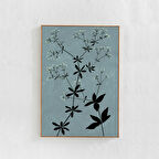 Botanik Sanatı: Gri mavi