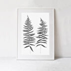 Büyük Botanik, Eğrelti Otu Posteri, Siyah Beyaz Botanik Duvar Sanatı