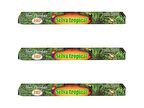 Hari Darshan Selva Tropical Yağmur Ormanları Çubuk Tütsü - Oda Ortam Kukusu - 20 Adetlik 3 Paket