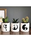 Kedi Desenli Kaktüs ve Sukulent Minimal Saksı Seti (çiçeksiz)