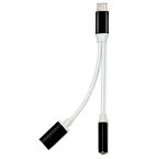 ZR310 Ft Ac 20 Type-C 2 İn 1 Çevirici