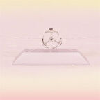 BUFFER® Dekoratif Masa Üstü Obje Manyetik Kinetik Orbital Dönen Yunuslar