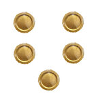 Dayanıklı Mika Plastik Tabak - Tek Kullanımlık, Şık ve Hijyenik Sunum - Altın - 6 Adetlik 5 Paket