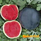 Siyah karpuz Tohumu 10 gr Paket