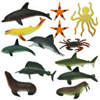 Okyanus Hayvanları Poşetli S00000704