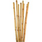 BAMBU BİTKİ DESTEK ÇUBUĞU 120 CM 20 ADET