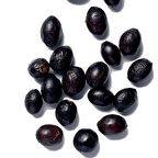 DEFNE AĞACI TOHUMU 200 ADET - Laurus Nobilis