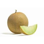 KAVUN EKİM SETİ -TOHUM,TOPRAK,SAKSI,BİTKİ BESİNİ