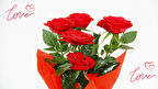 MİNİ GÜL KIRMIZI RENK - Sevgililer Günü ve Özel Gün Hediyesi