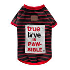 Alphadog Black True Love Küçük Irk Köpek Kazağı