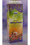 Darshan Incense - White Musk 20'li Çubuk Tütsü (Beyaz Misk)