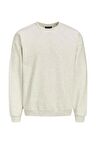 Jack & Jones Erkek Düz Sweatshirt - 12186363