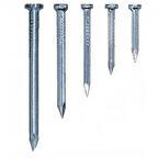 Beyaz Kanallı Çelik Beton Çivisi 4X60 100