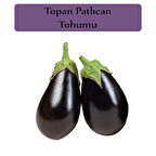 Patlıcan Tohumu 1 Paket Topan Patlıcan Tohumu Kapalı Paket Yüksek Verimli Tohum