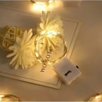 2m Pilli Peri Led