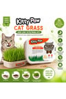 Kitty Paw Cat Grass (Kedi Çimi)