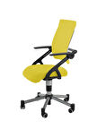 Creo Mobili Yükseklik ve Sırt Ayarlı Vega Çalışma Sandalyesi, Ofis ve Bilgisayar Koltuğu, Sarı