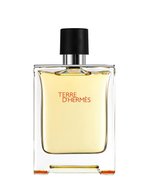 Hermes Terre D'Hermes EDT 100 ml Erkek Parfüm