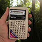 Dexxony Taşınabilir Şarjlı Cep Radyosu (Deprem Çantasına Uygun)