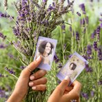 Instax mini Soft Levander 10'lu Film