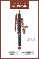Ultra Rich Color Dudak Kalemi 09 Dried Rose - Nude
