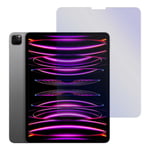 Apple iPad Pro 12.9 inç  6. Nesil A2436 A2437 A2764 Uyumlu Tablet Nano Ekran Koruyucu
