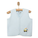 HelloBaby Erkek Bebek Yelek Kapitoneli Karışık Renkli