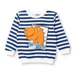 HelloBaby Erkek Bebek Sweatshirt Dinozor Baskılı Bisiklet Yaka Uzun Kol