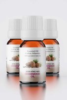 Proclis Sedir Ağacı Yağı,  %100 Doğal Uçucu Yağ, Sedir Oil, 3'lü Set 3x10ml