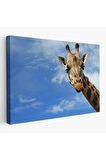 Zürafa Dekoratif Kanvas Tablo 1116