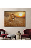 Erkek Aslan Dekoratif Kanvas Tablo 1138