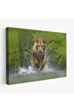 Koşan Kaplan Dekoratif Kanvas Tablo 1142