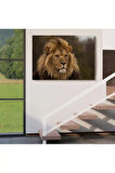 Aslan Dekoratif Kanvas Tablo 1159