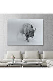 Bizon  Dekoratif Kanvas Tablo 1160