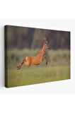 Koşan Geyik Dekoratif Kanvas Tablo 1170