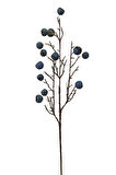 Fruit 68 cm Mavi