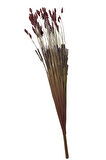 Grass 75 cm Kırmızı